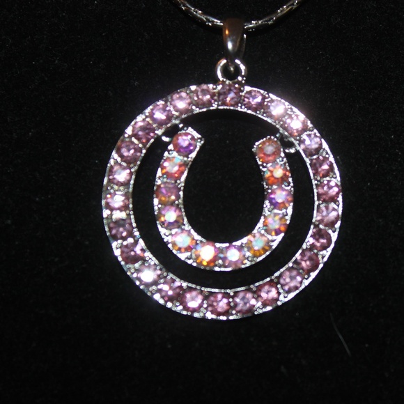 NWT Pink Circle W/ Horse Shoe Necklace, Western - Picture 2 of 2